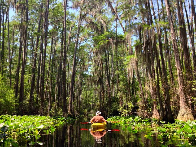 The 15 Best North Georgia State Parks & Historic Sites