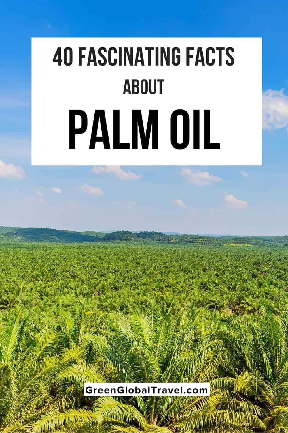 palm oil deforestation facts