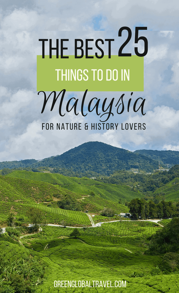 High 25 Issues To Do in Malaysia for Nature Lovers  Cari Homestay