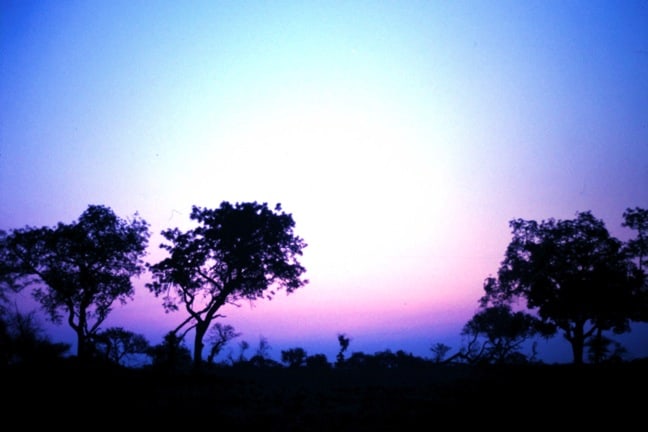 Sunset in South Africa's Kruger National Park
