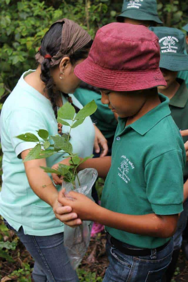 Things you can do in Costa Rica -Volunteer to plant trees with La Reserva Forest Foundation