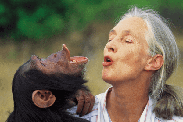 Jane Goodall Interview