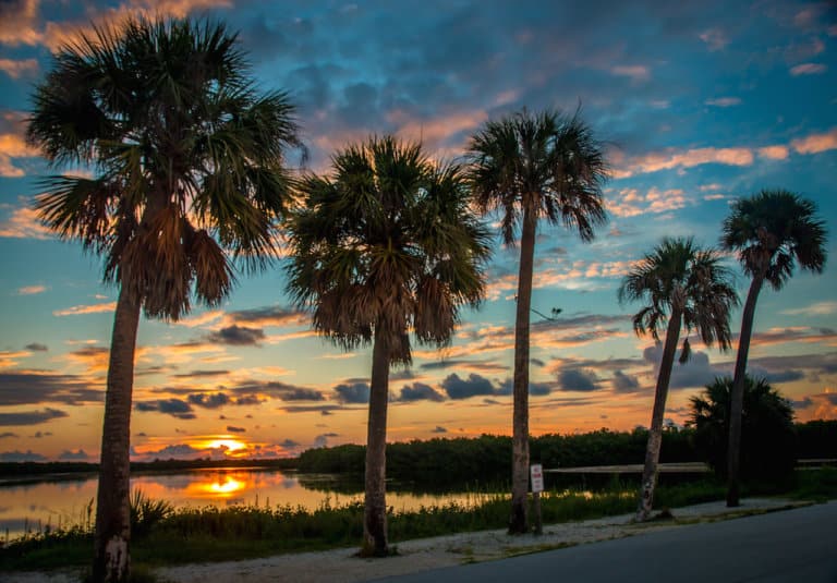 Top 10 Things To Do In Sanibel Island, Florida (For Nature Lovers)