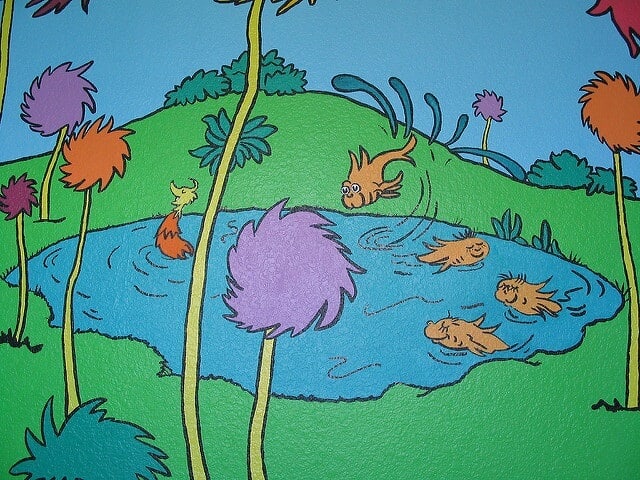 Lorax Meaning