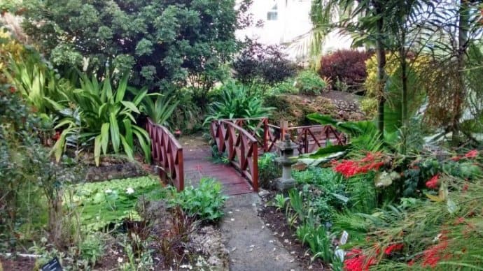 What to Do in Barbados: Andromeda Botanic Gardens