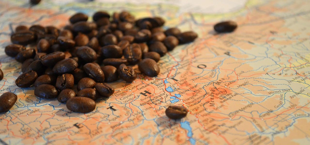 Best coffee beans in the deals world