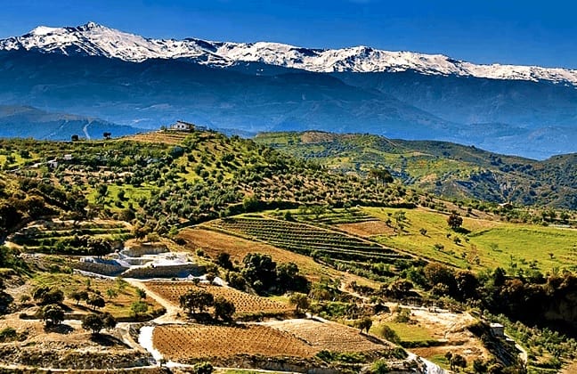 The Mountains of Sierra Nevada, Spain