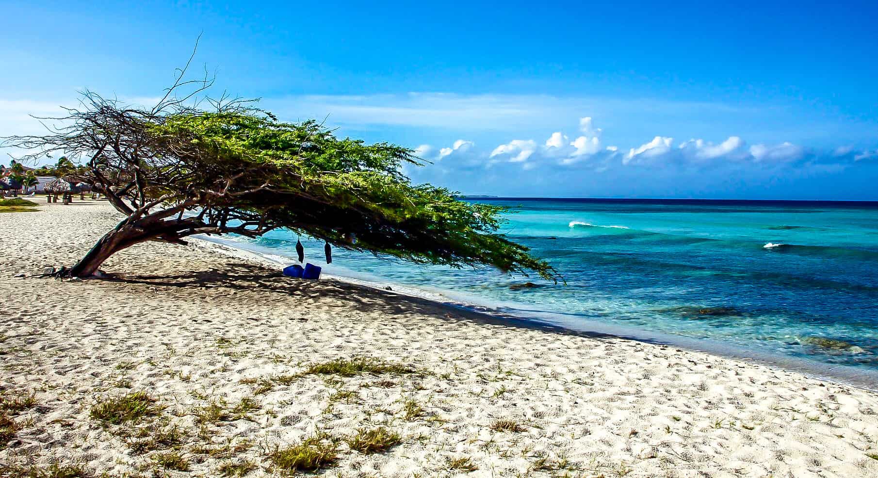 Aruba's varied island culture and terrain