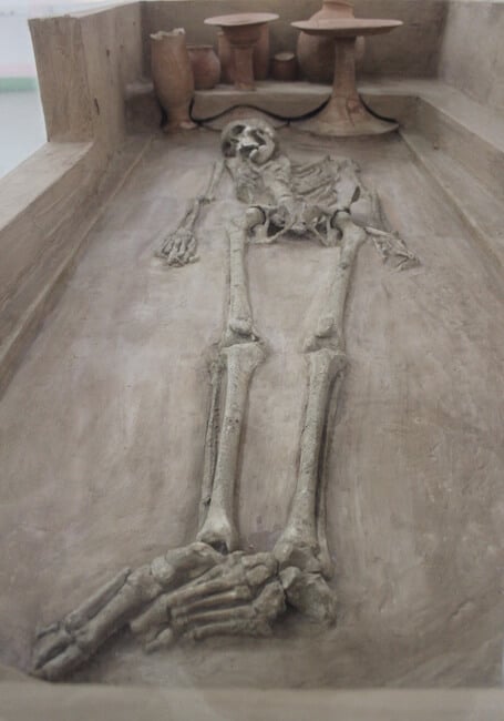 A skeleton from Rakhigarhi on display in the National Museum in New Dehli, India