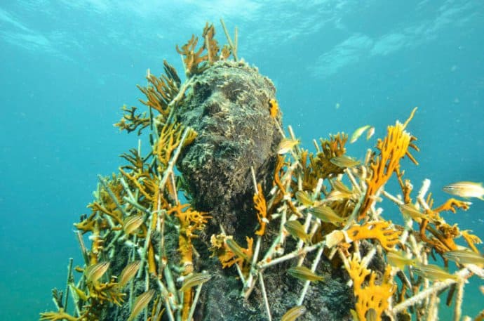 Snorkel Cancun Underwater Museum of Art