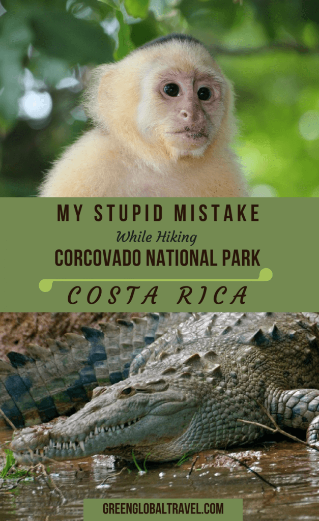 My Stupid Mistake While Hiking Corcovado National Park, Costa Rica. Our epic guide includes tips on how to get there, when to go, where to stay in Corcovado, the wildlife you're likely to see, and how one lame-brained decision nearly sent me to the hospital. | Costa Rica National Parks | Costa Rica Nature | Costa Rica Travel | Costa Rica Vacation | Costa Rica Hiking | Costa Rica Hidden Gems | via @greenglobaltrvl
