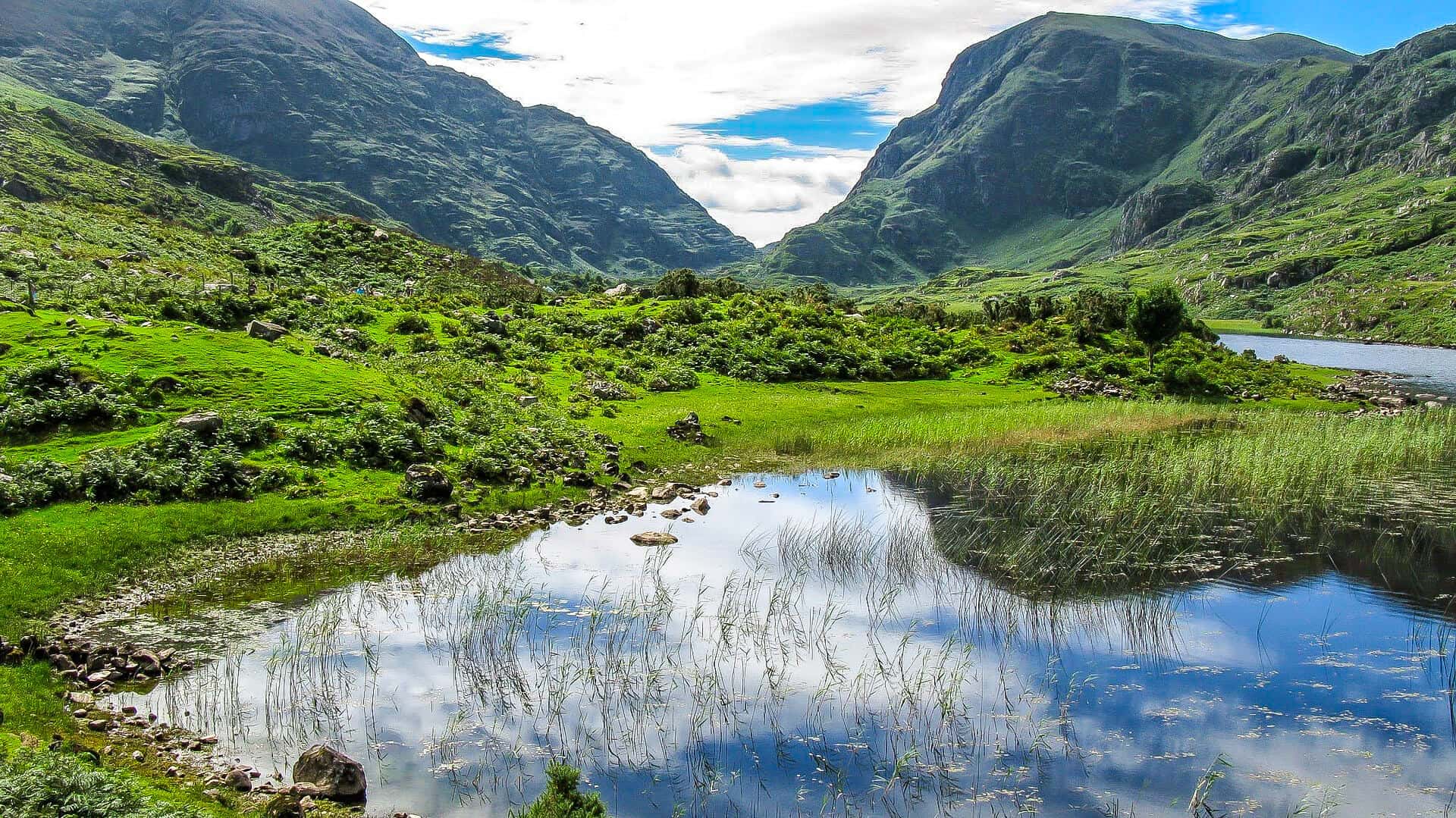 Things to do in Ireland for nature lovers -Killarney National Park