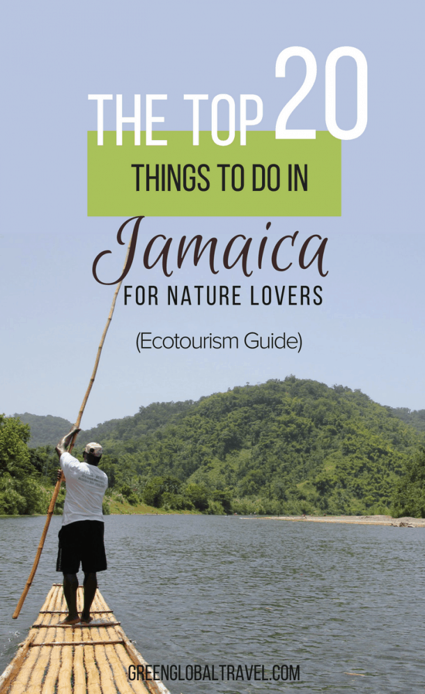 Top 20 Things To Do In Jamaica For Nature Lovers Ecotourism Guide