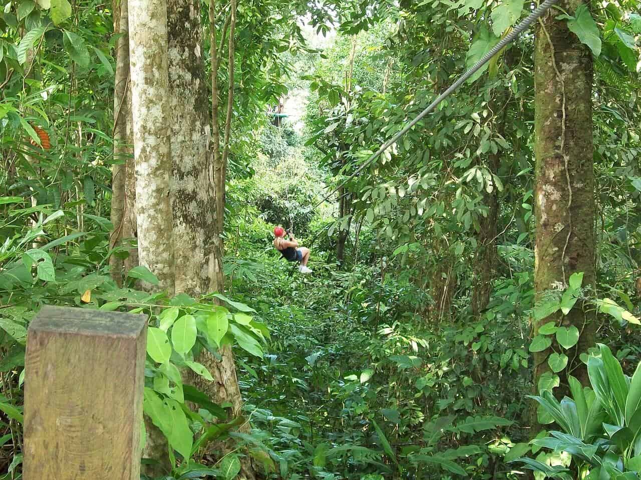 Things to Do in Jamaica -Zipline