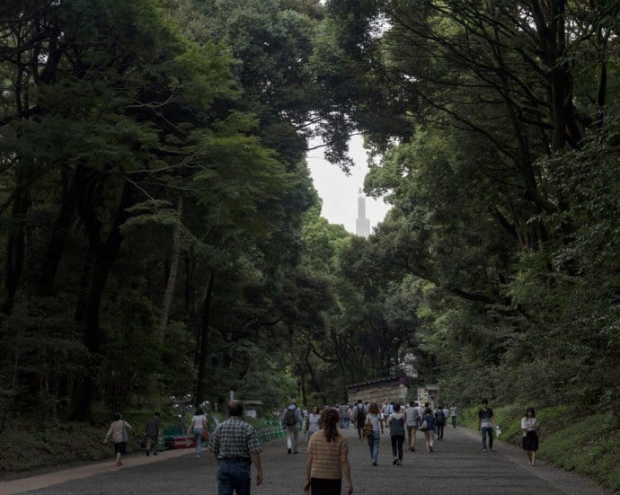 Japan Photos: Tokyo's Meiji shrine forest