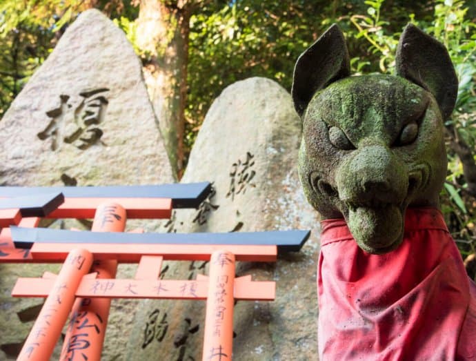 Japan Photos: Kyoto's Fushimi Inari