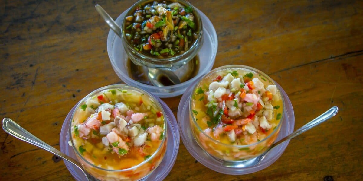Ecotourism in Costa Rica -Costa Rica Food- Ceviche