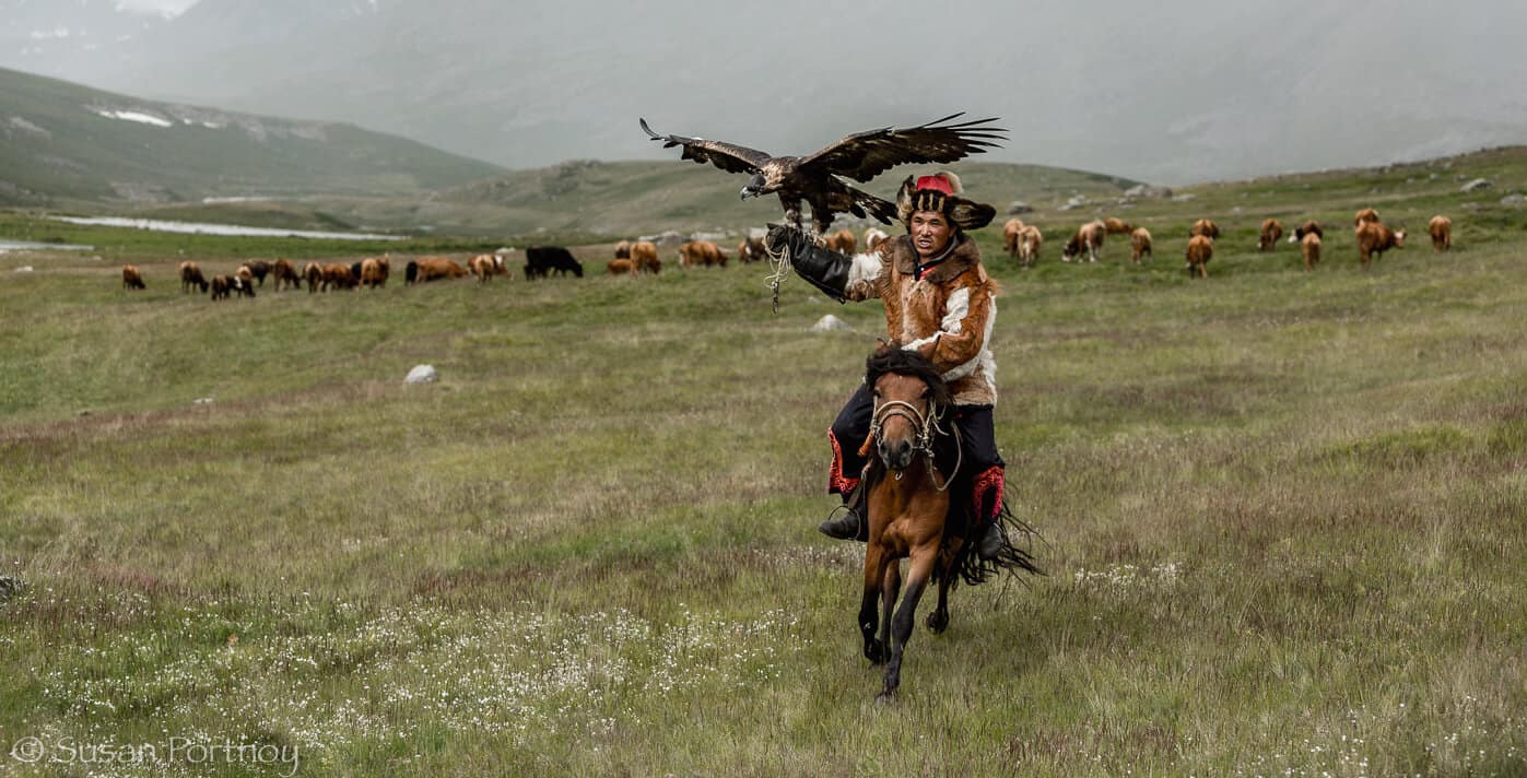 Mongolian Culture- Eagle Hunter