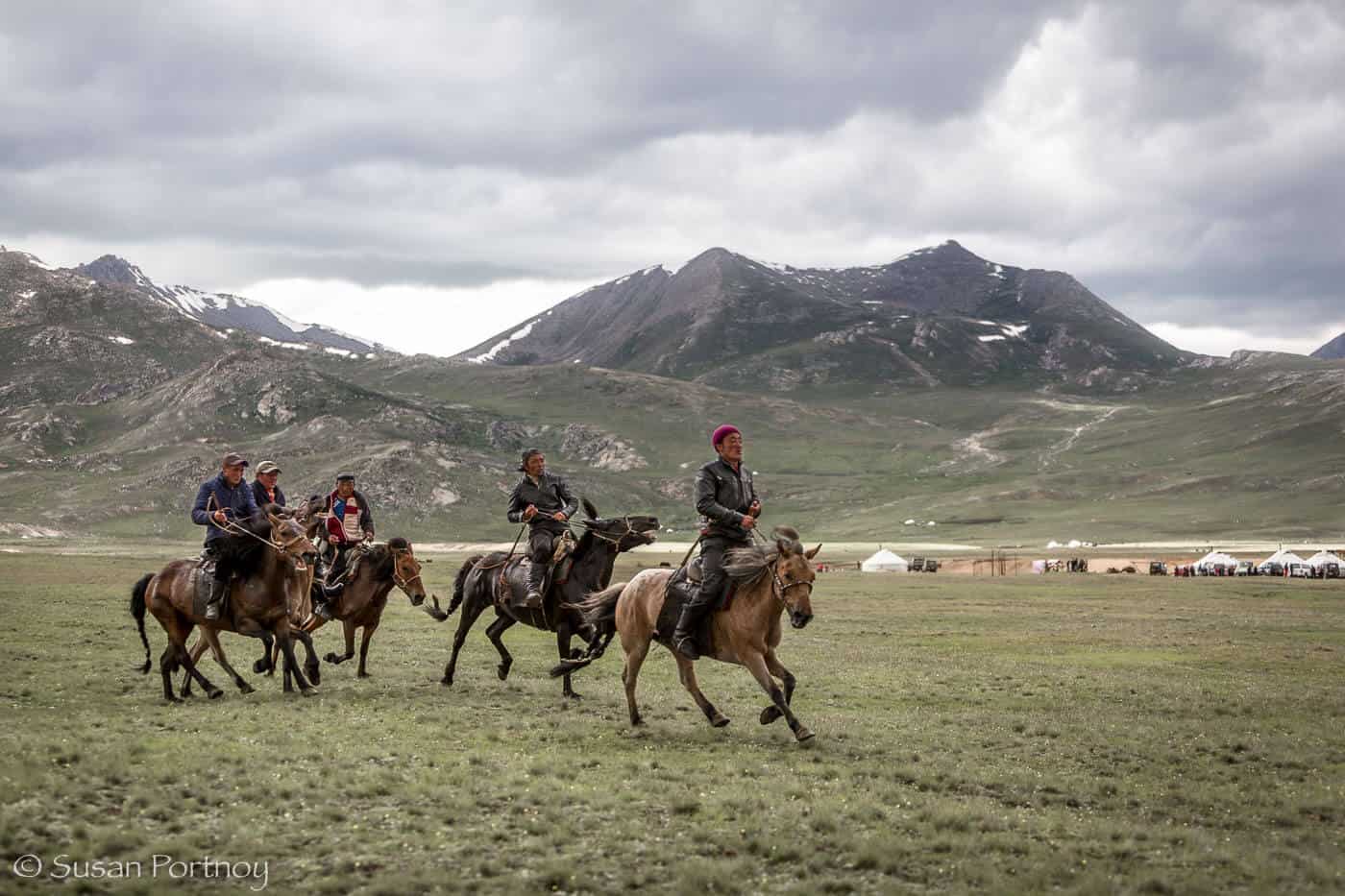 Mongolian Culture: Mongolian Horses