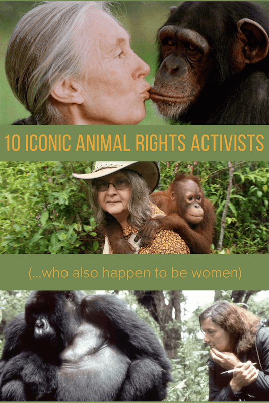 10 Inspirational Animal Rights Activists (Who Happen to Be Women)