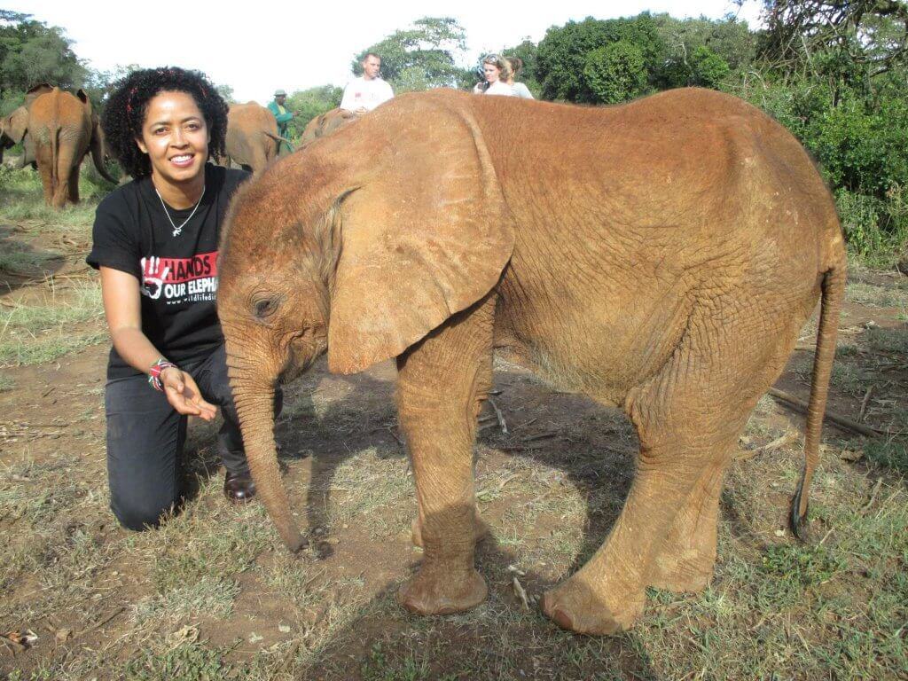 Elephant Conservation Activists -Dr. Paula Kahumbu