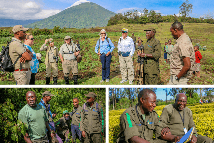 Mountain Gorillas in Rwanda- Guides