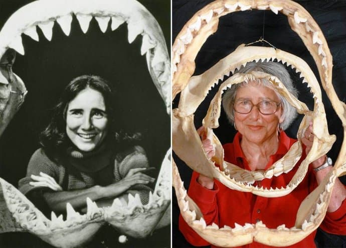 Shark Lady Eugenie Clark - Shark Conservation Pioneer