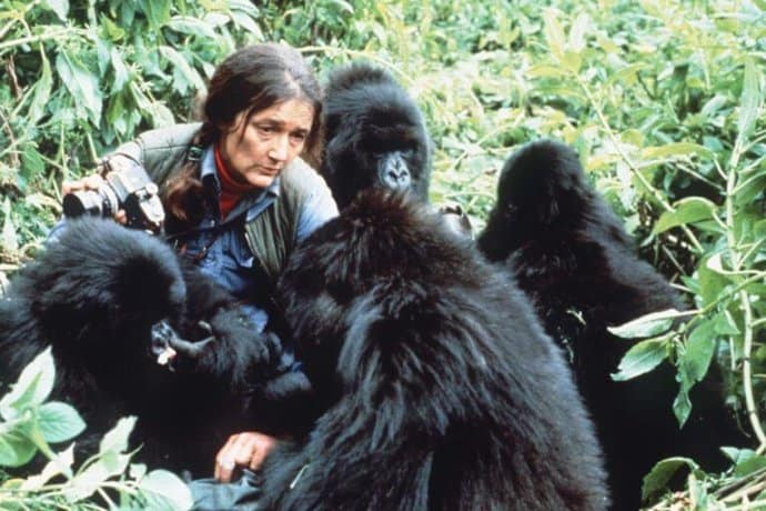 https://greenglobaltravel.com/wp-content/uploads/2017/03/dian-fossey-768x512-e1488926871321.jpg