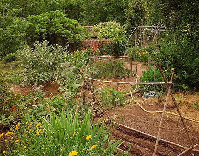 A Permaculture Garden