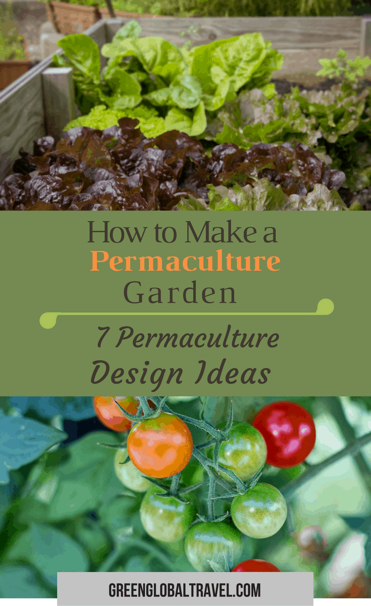 What Is Permaculture Gardening? An Intro to Permaculture Design and Principles on Permaculture Garden Layout
 id=84210