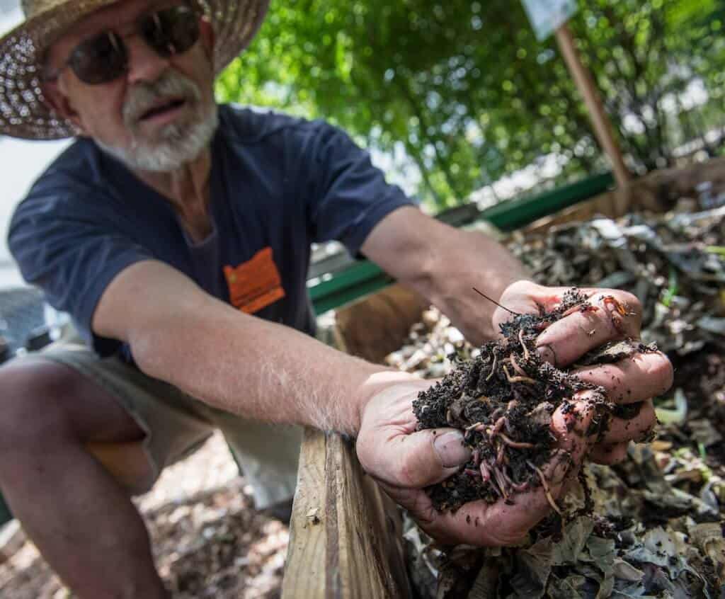 Worm Composting -Permaculture Gardening Techniques