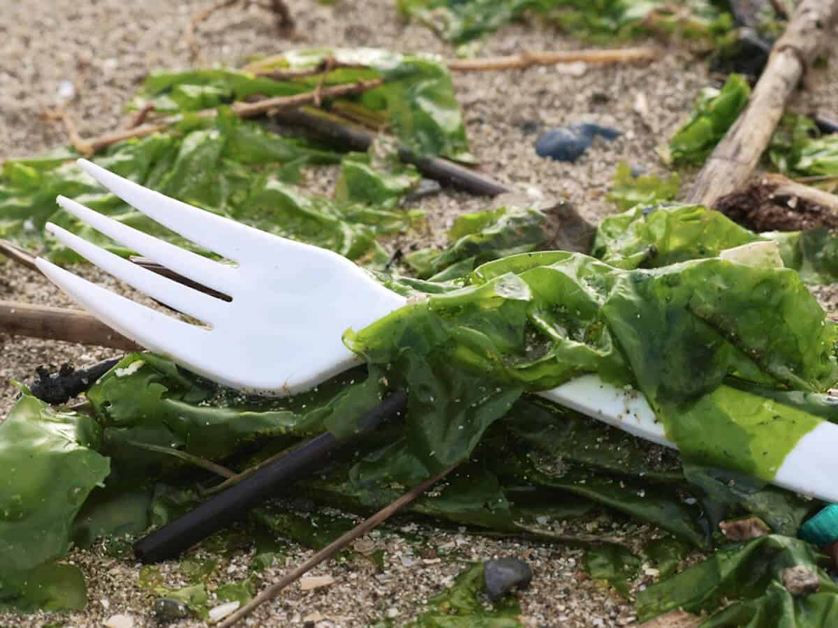 7 способов сократить количество отходов и перейти к жизни без отходов с помощью @greenglobaltrvl
