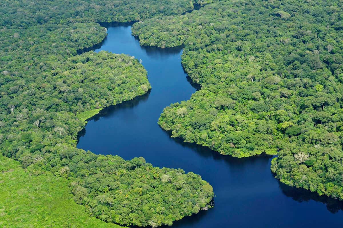 10 MOST BEAUTIFUL FORESTS: Amazon