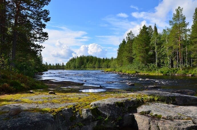 List of 5 Countries with Largest Forests in the World, by Yanuar Hadi