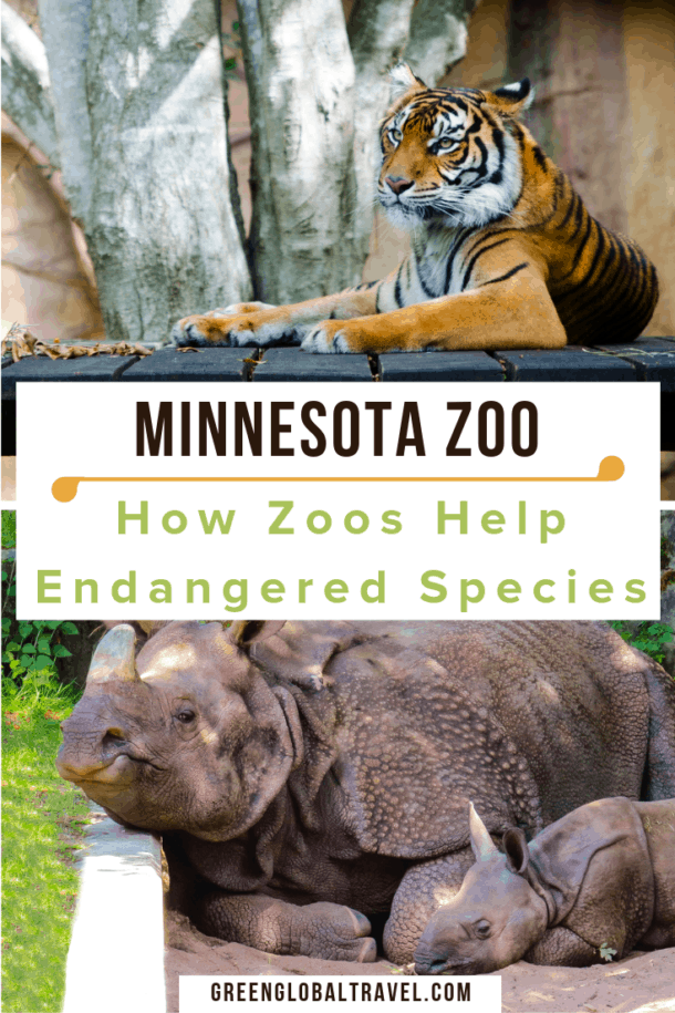 Minnesota Zoo Conservation How Zoos Help Save Endangered Species