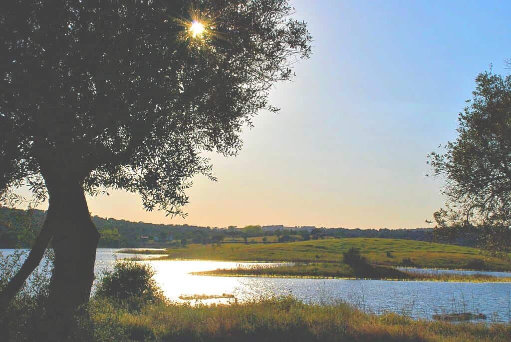 Things To Do In Portugal For Nature Lovers- Bird Watching at Lake Alqueva