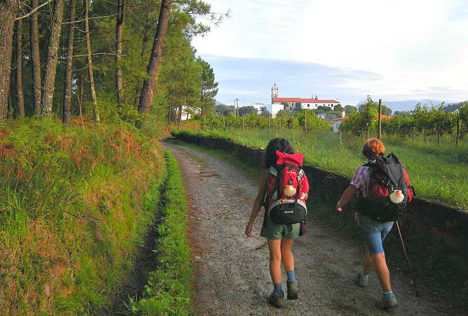 Things To Do In Portugal For Nature Lovers- Walk Camino Portugués