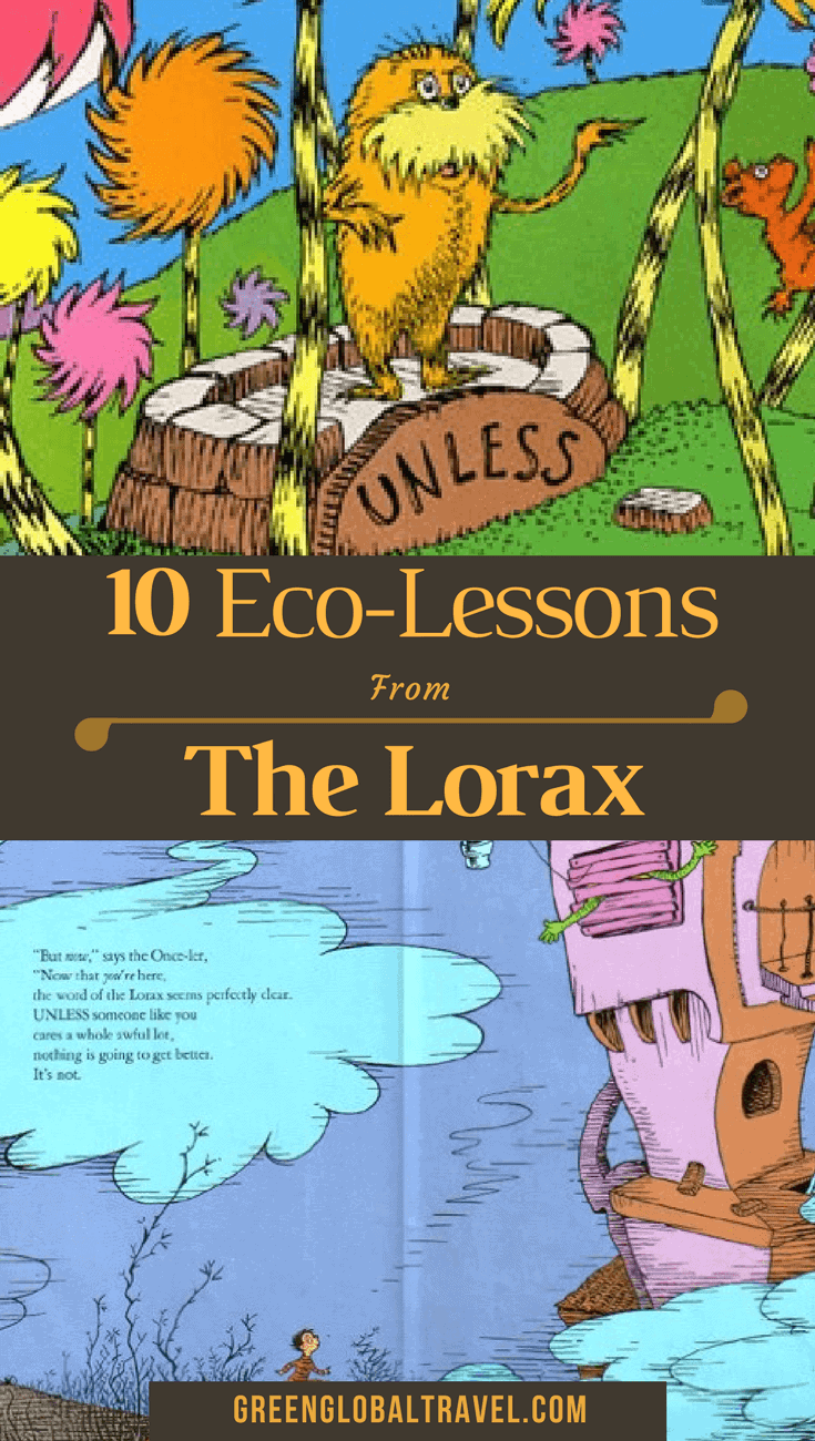 whats the lorax about