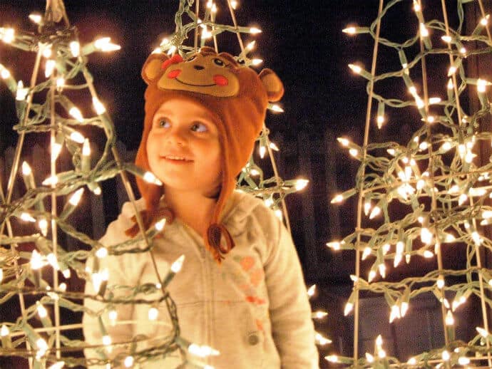 Christmas Lights near Albany Georgia: Chehaw Park's Festival of Lights