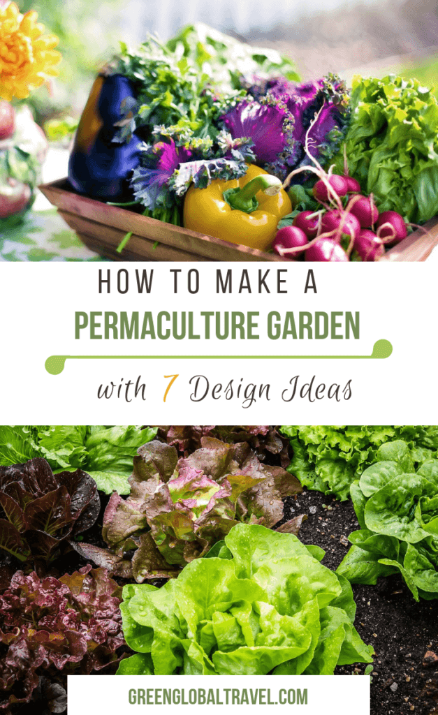 What Is Permaculture Gardening? An Intro to Permaculture Design & Principles. Includes step-by-step instructions for making your own garden more fruitful and sustainable for long term benefits. via @greenglobaltrvl #permaculture #permaculturebeginner #permaculturedesign #permaculturegardening #Permaculturegarden