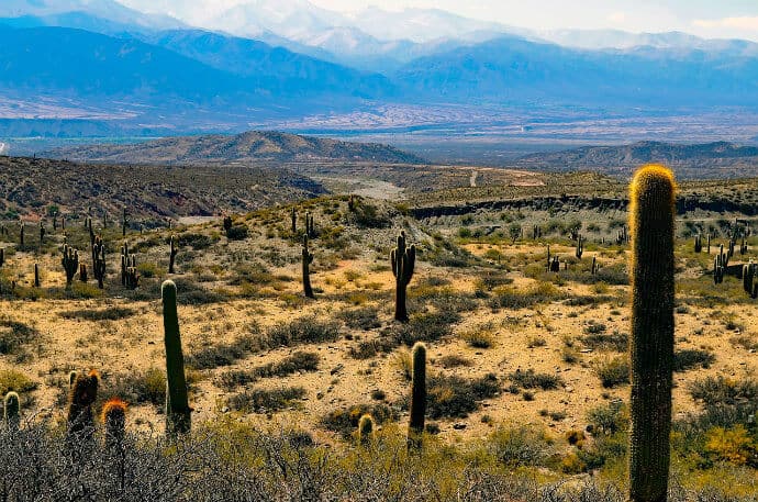 The Patagonian Desert is the 8th largest desert in the world and is primary in Argentina