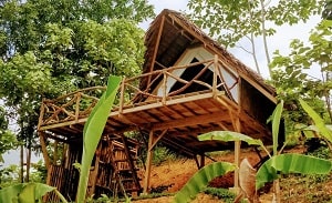 Barton Jungle Cottages in San Vicente Palawan