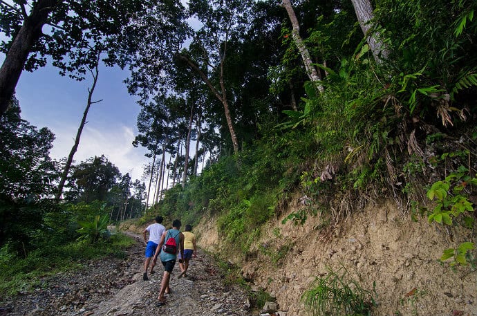 Ecotourism in San Vicente, Palawan - Be a responsible traveler