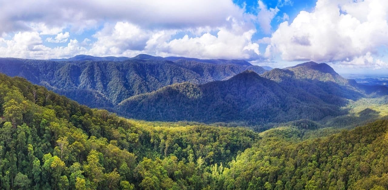 Atlantic Forest Great Reserve: an example for the world 