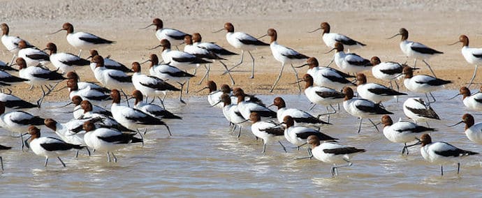 Largest Lake in Australia - Lake Eyre