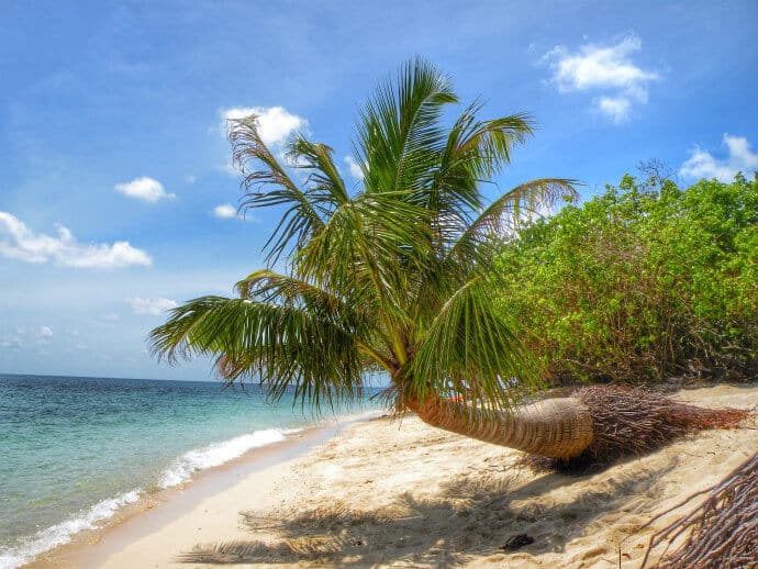 Islands in Borneo Malaysia, Turtle Island