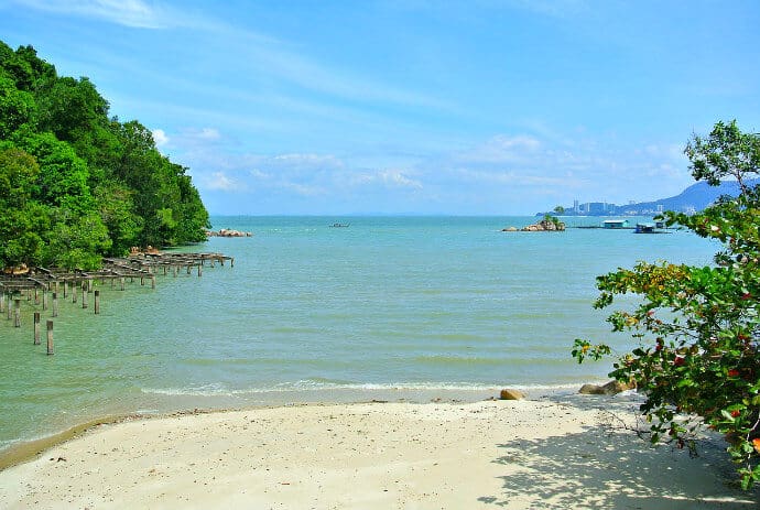 Things to do in Penang Island -Visit Penang National Park