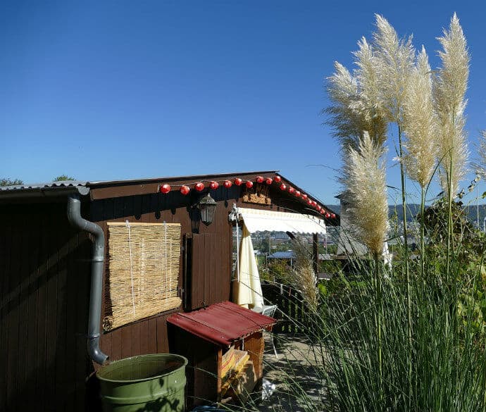 Water Saving Tips - use a rain barrel