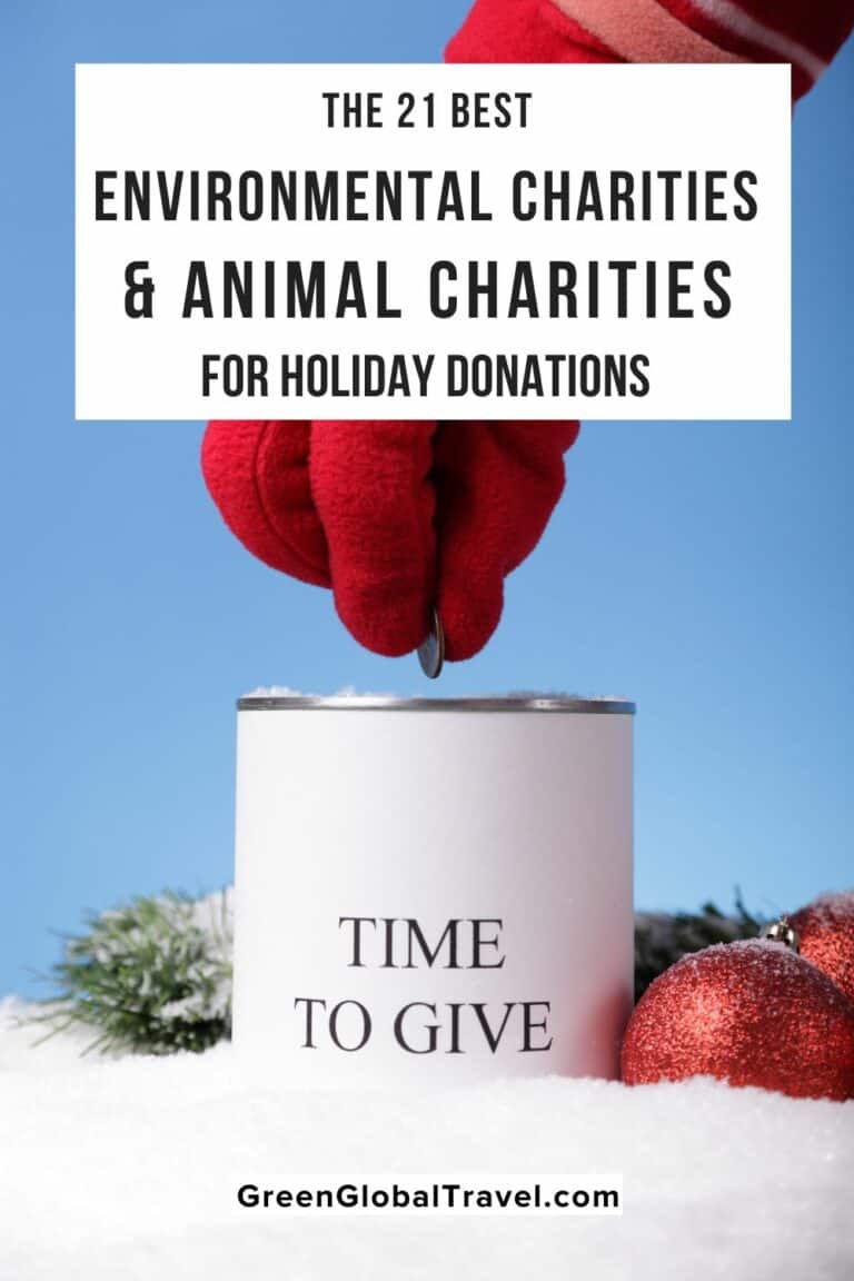 The 21 Best Environmental Charities & Animal Charities for Holiday