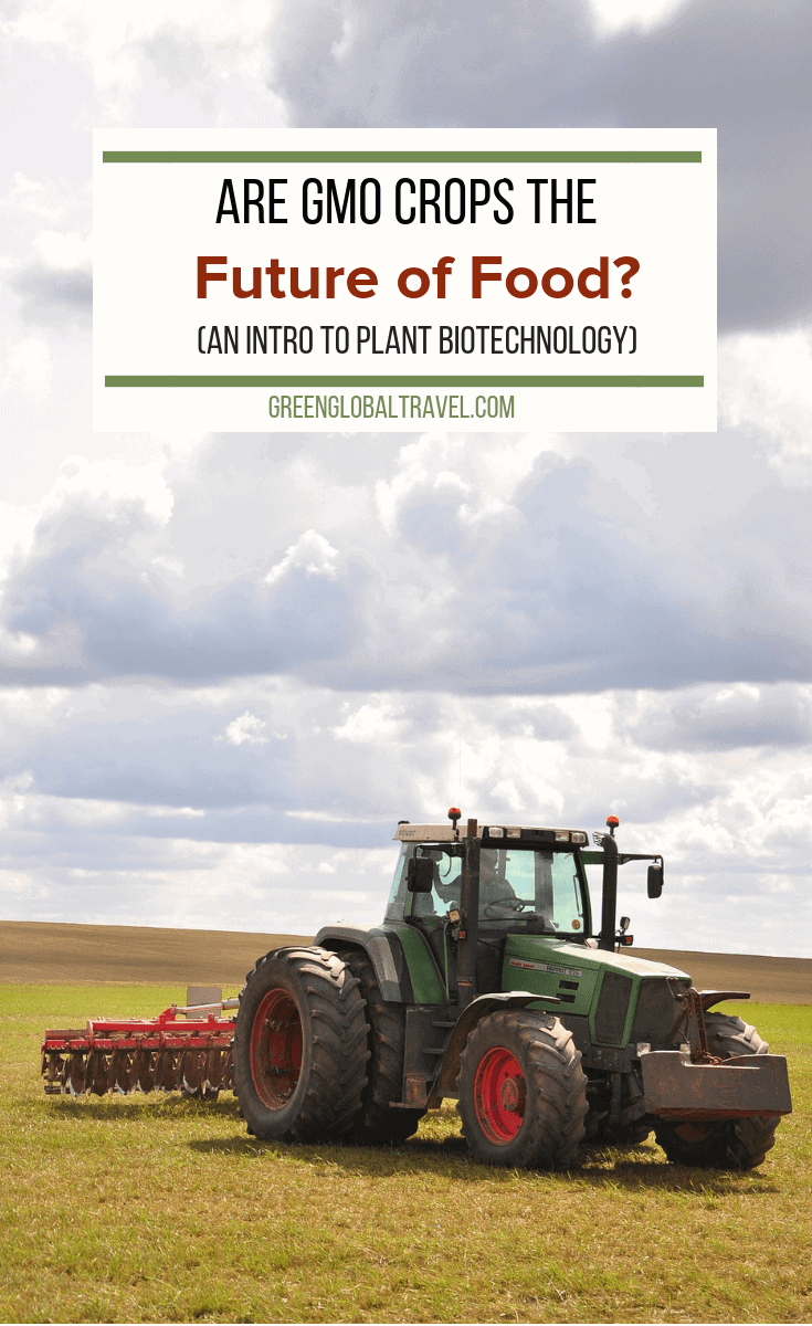 Are GMO Crops the Future of Food? (Introduction to Plant Biotechnology). An insightful interview with Dr. Paul S. Teng, Board Chairman of the ISAAA. via @GreenGlobalTrvl #GMOs #Monsanto #Food #Agriculture #Gardening #Farming #GeneticallyModified #Biotech #Biotechnology